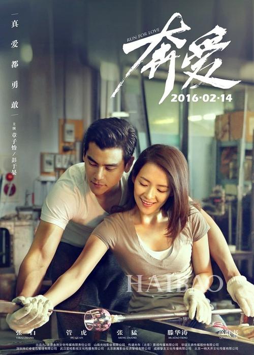 利比亚护照怎么制作